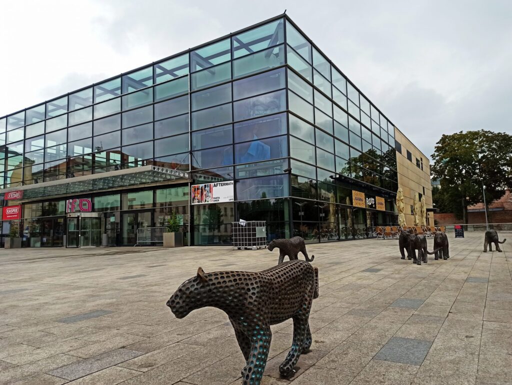 Video z konference